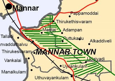 mannar-town